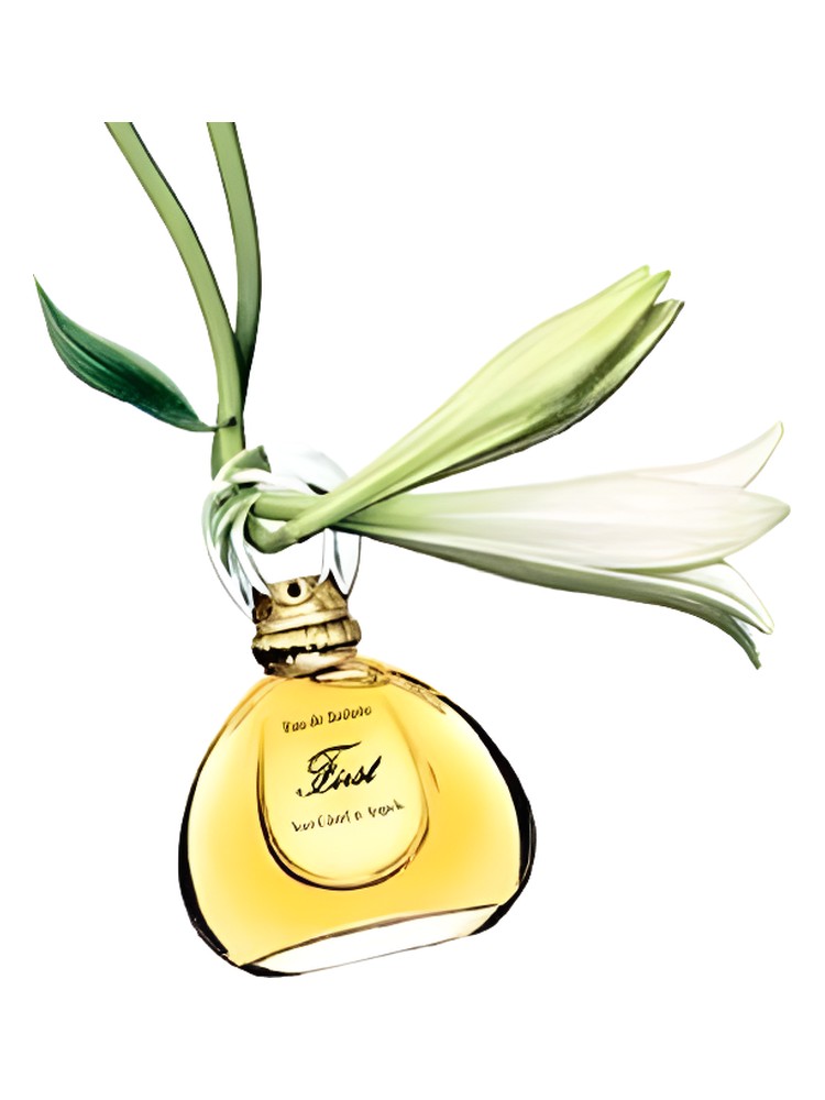 First Jasmin de Chine