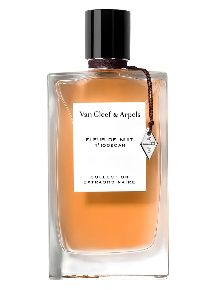 Fleur de Nuit