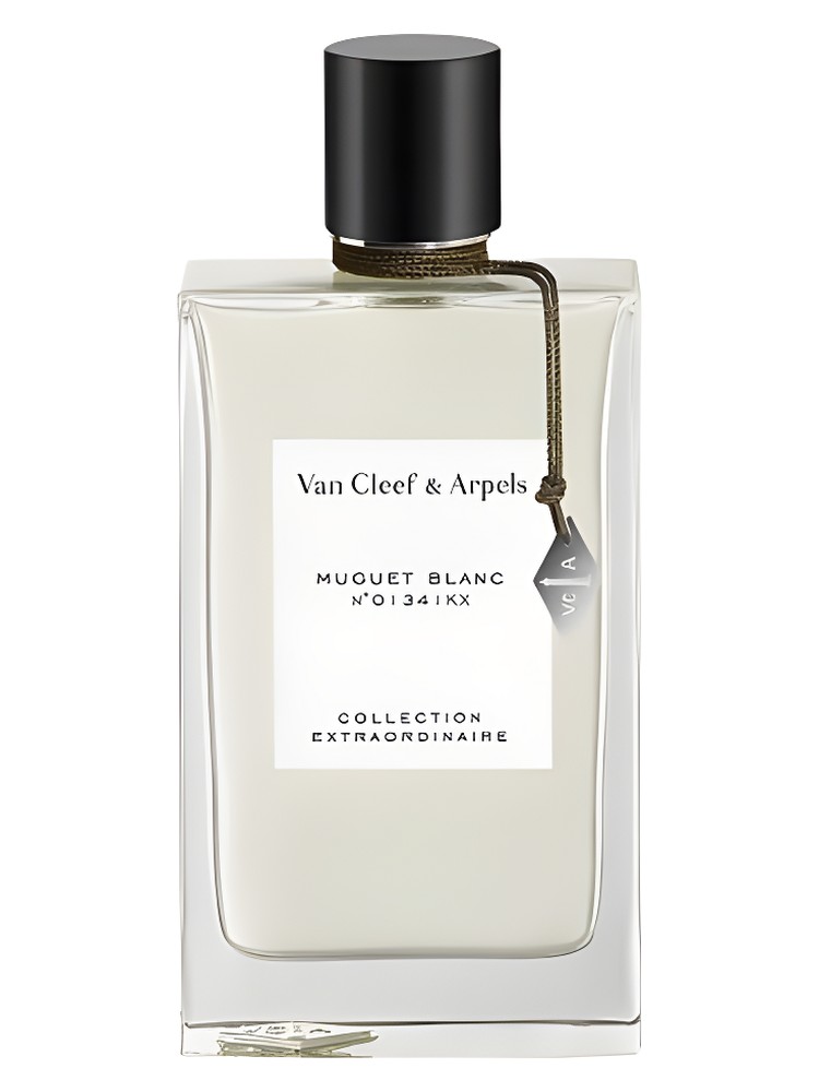 Muguet Blanc