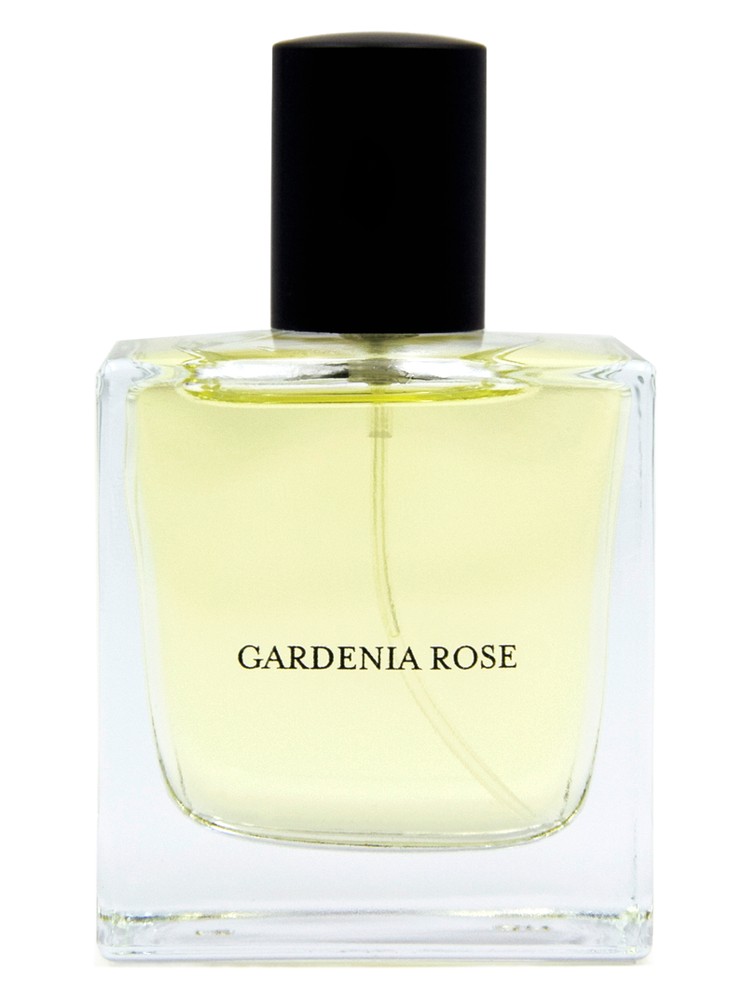 Gardenia Rose