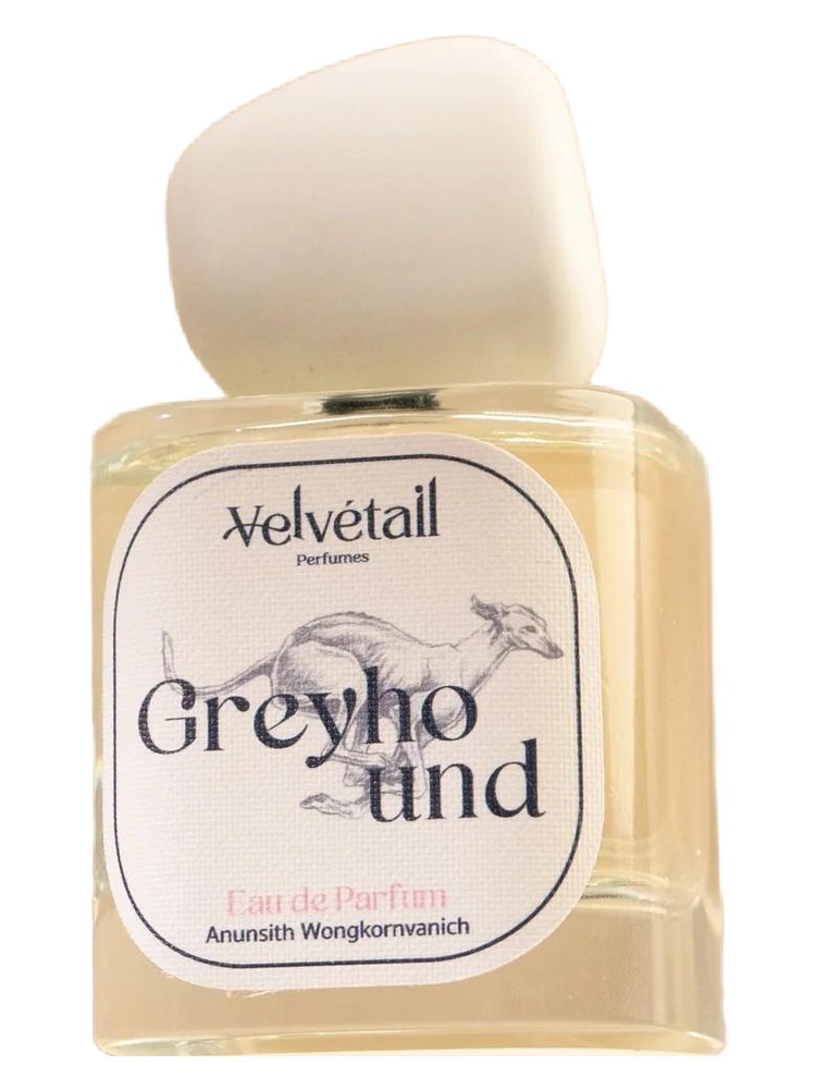 Greyhound