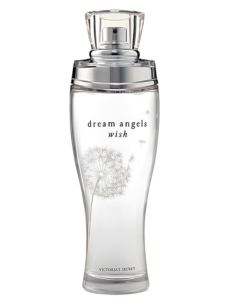 Dream Angels Wish