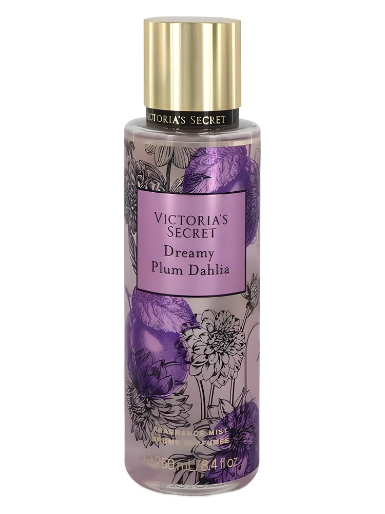 Dreamy Plum Dahlia