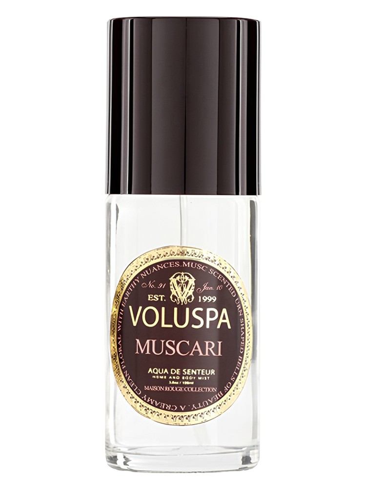 Muscari