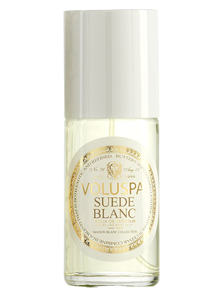 Suede Blanc