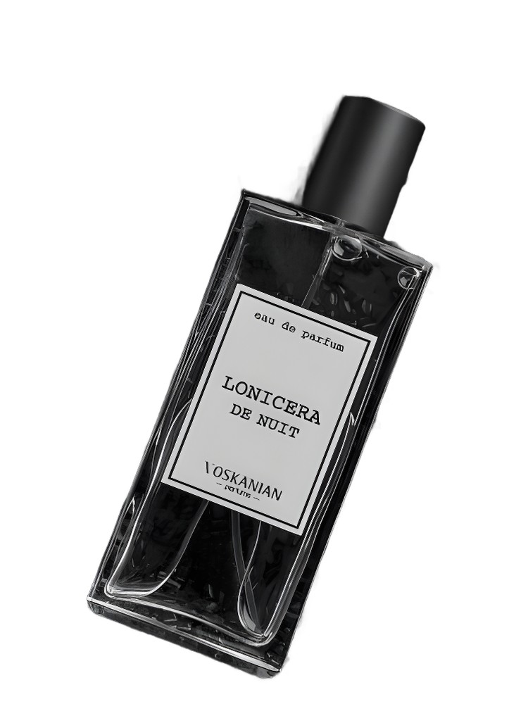 Lonicera de Nuit