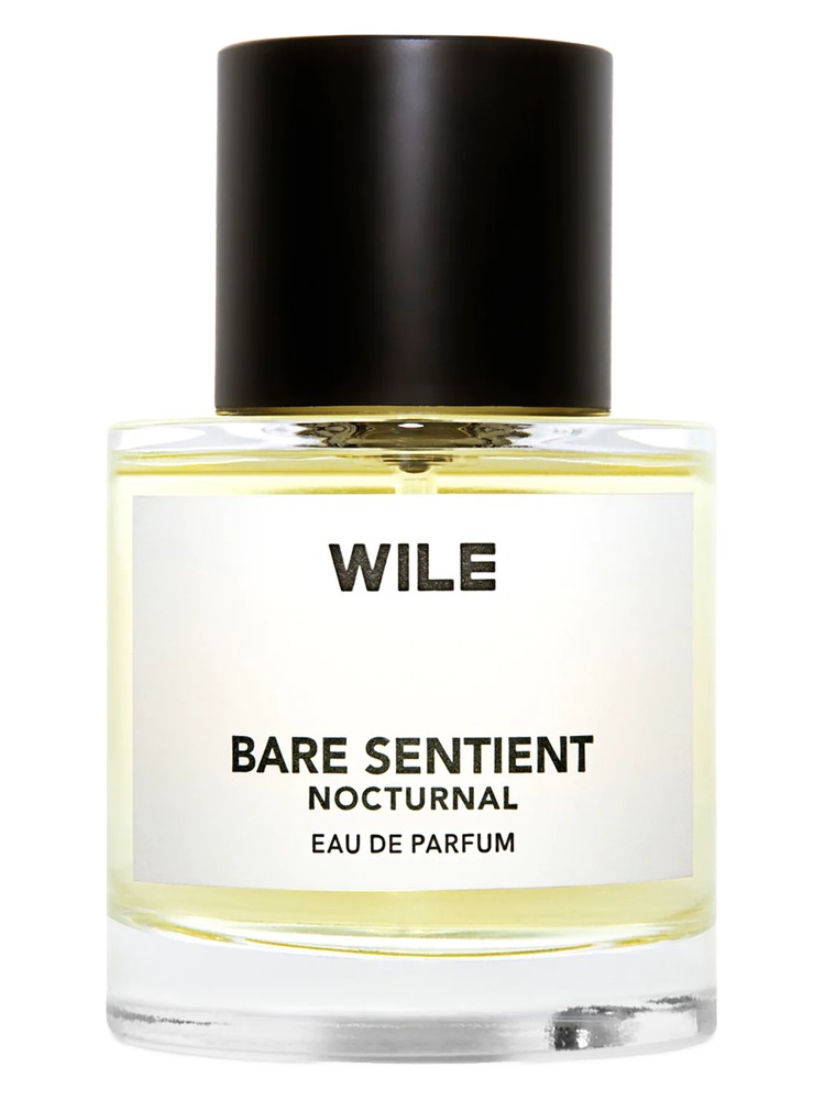 Bare Sentient Nocturnal