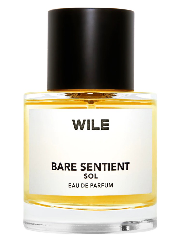 Bare Sentient Sol