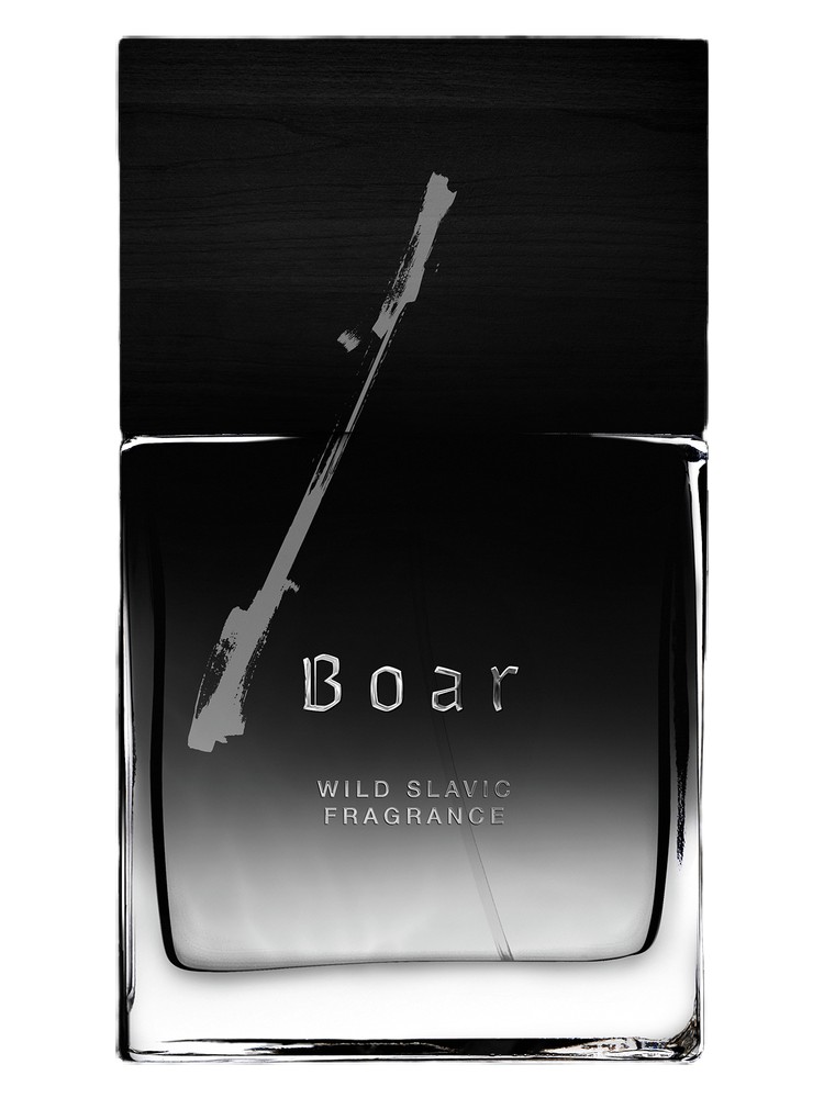Boar
