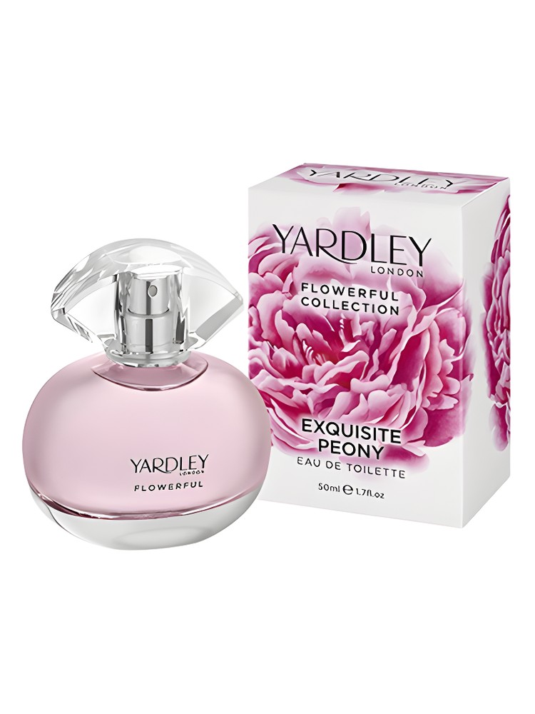 Exquisite Peony