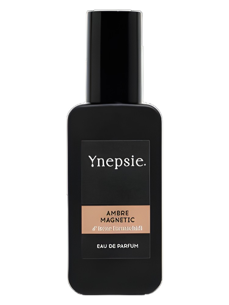 Ambre Magnetic