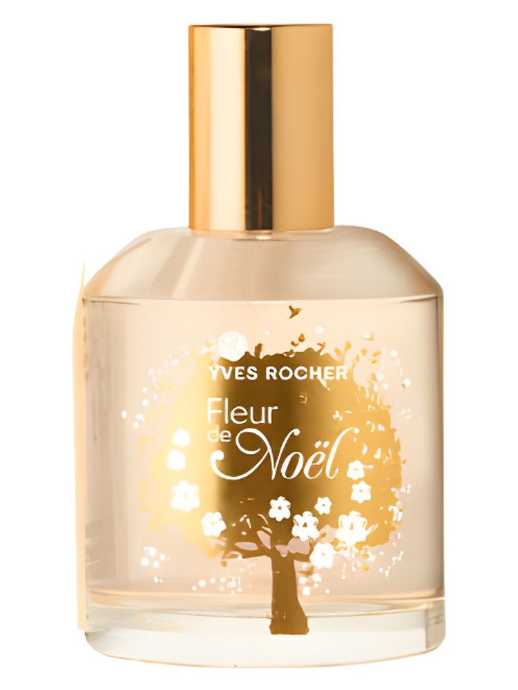 Fleur de Noel 2011