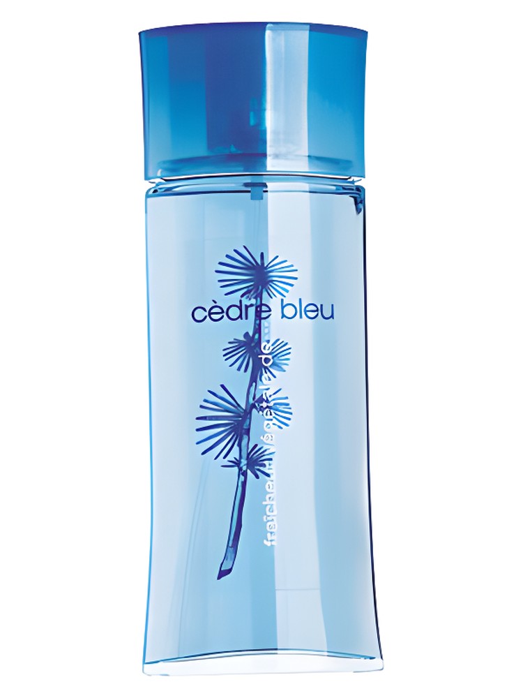 Fraicheur Vegetale Cedre Bleu