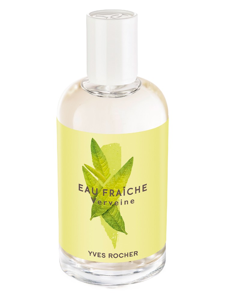 Lemon Verbena (Verveine)