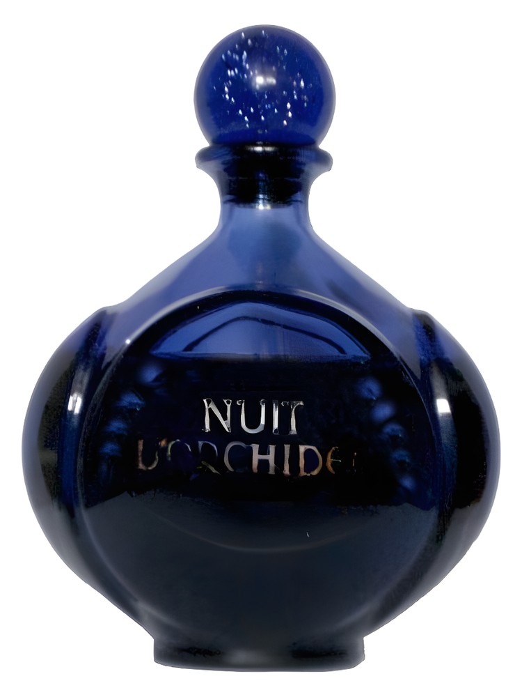 Nuit d'Orchidee