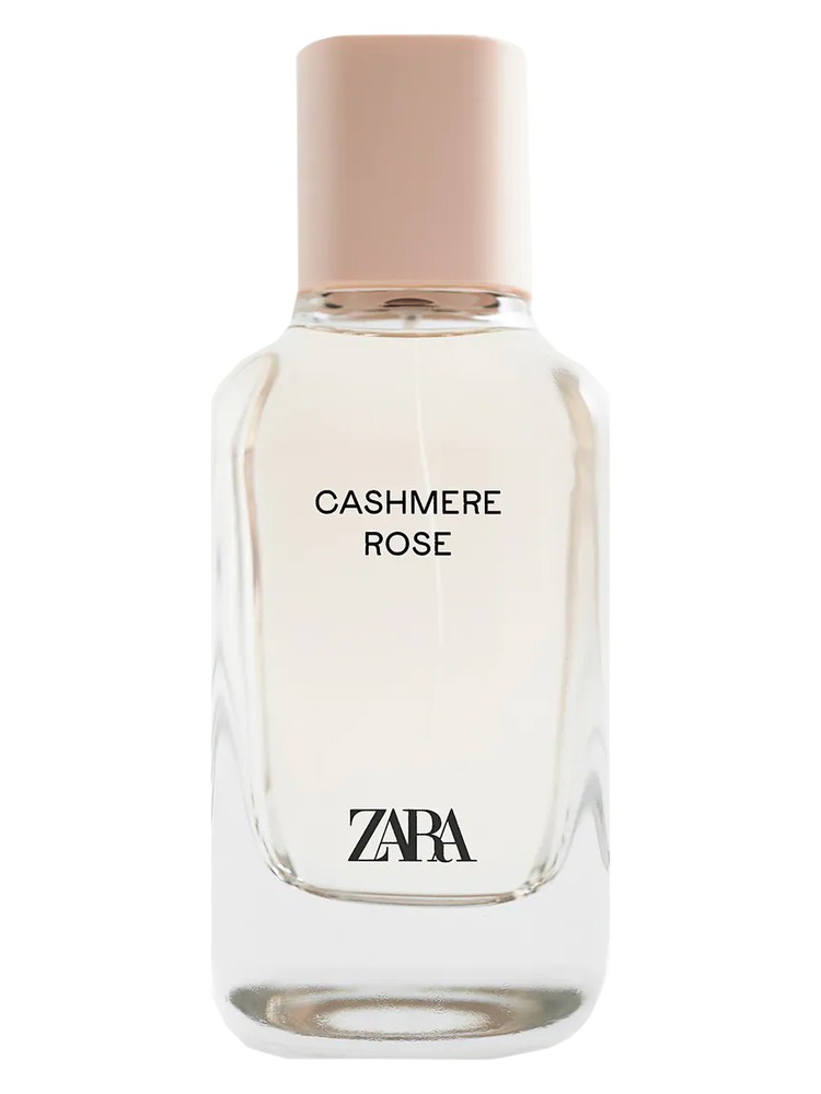 Cashmere Rose
