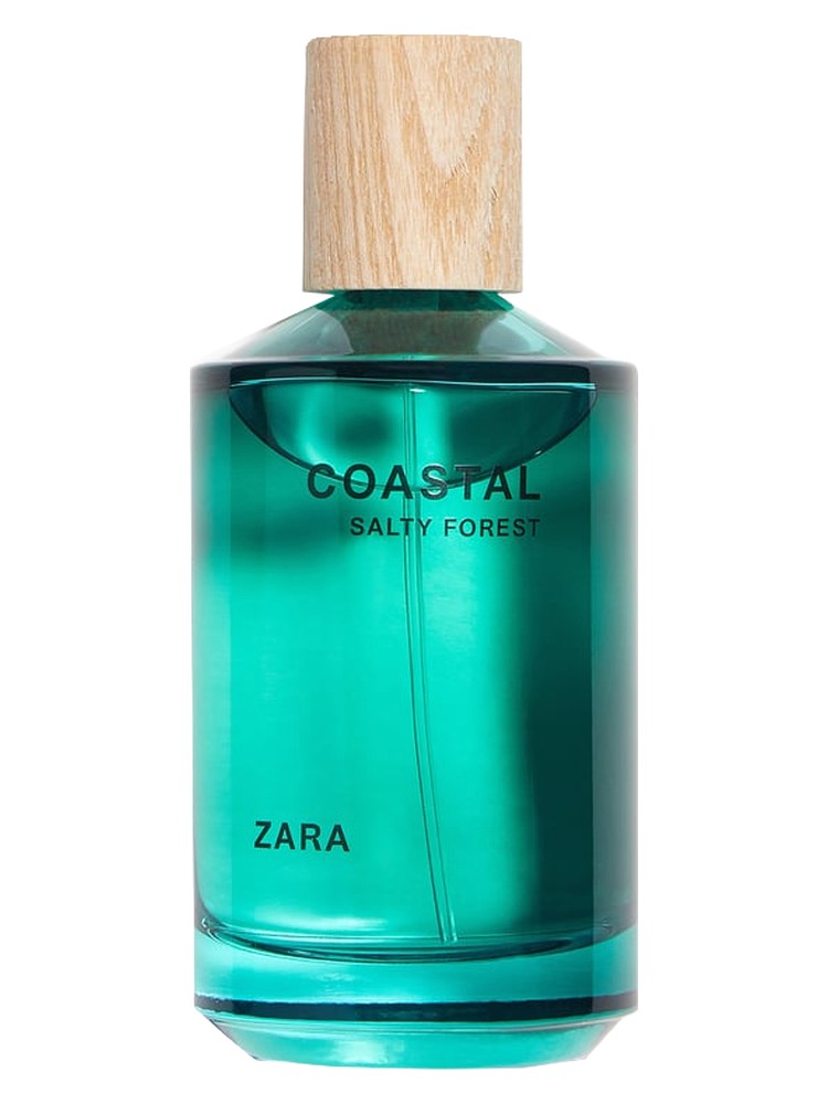 Coastal Salty Forest