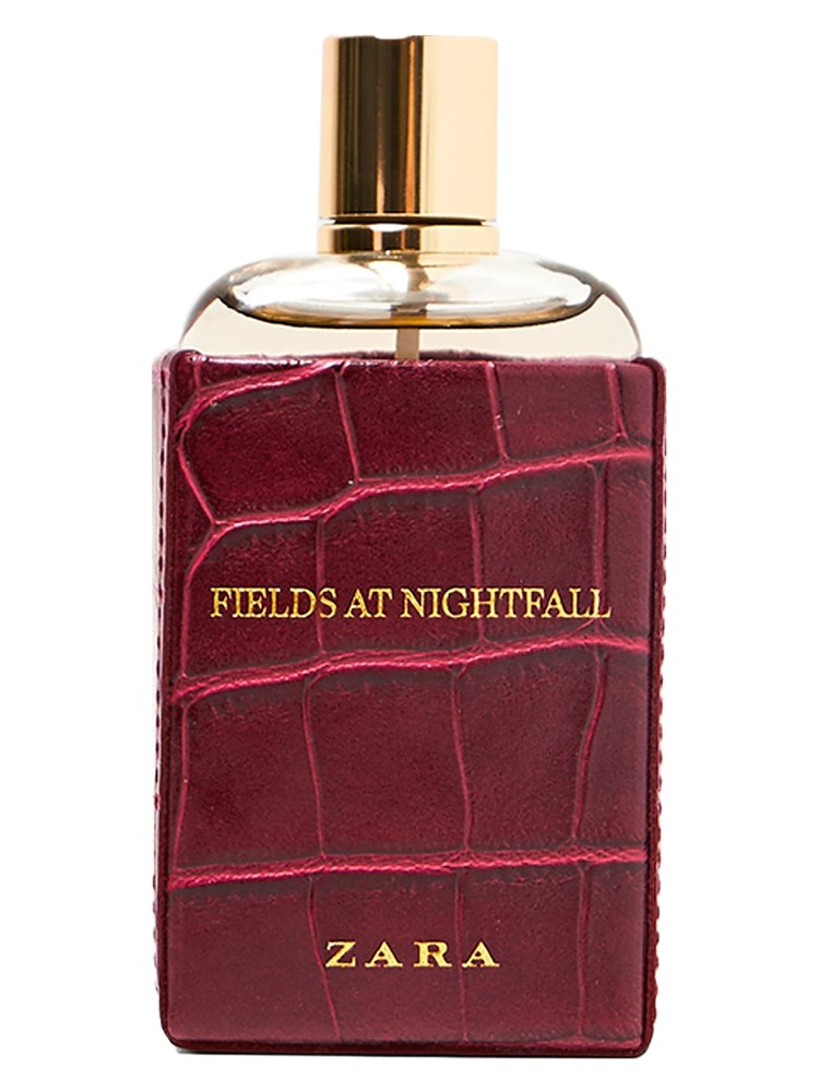 Fields at Nightfall 2018