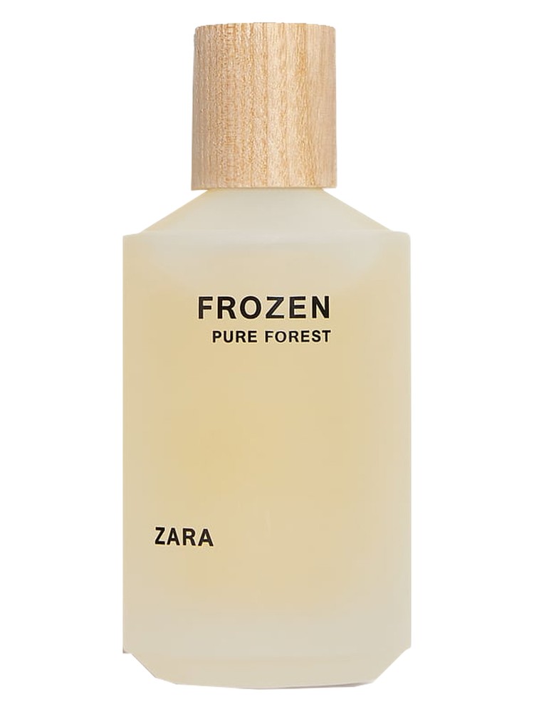 Frozen Pure Forest