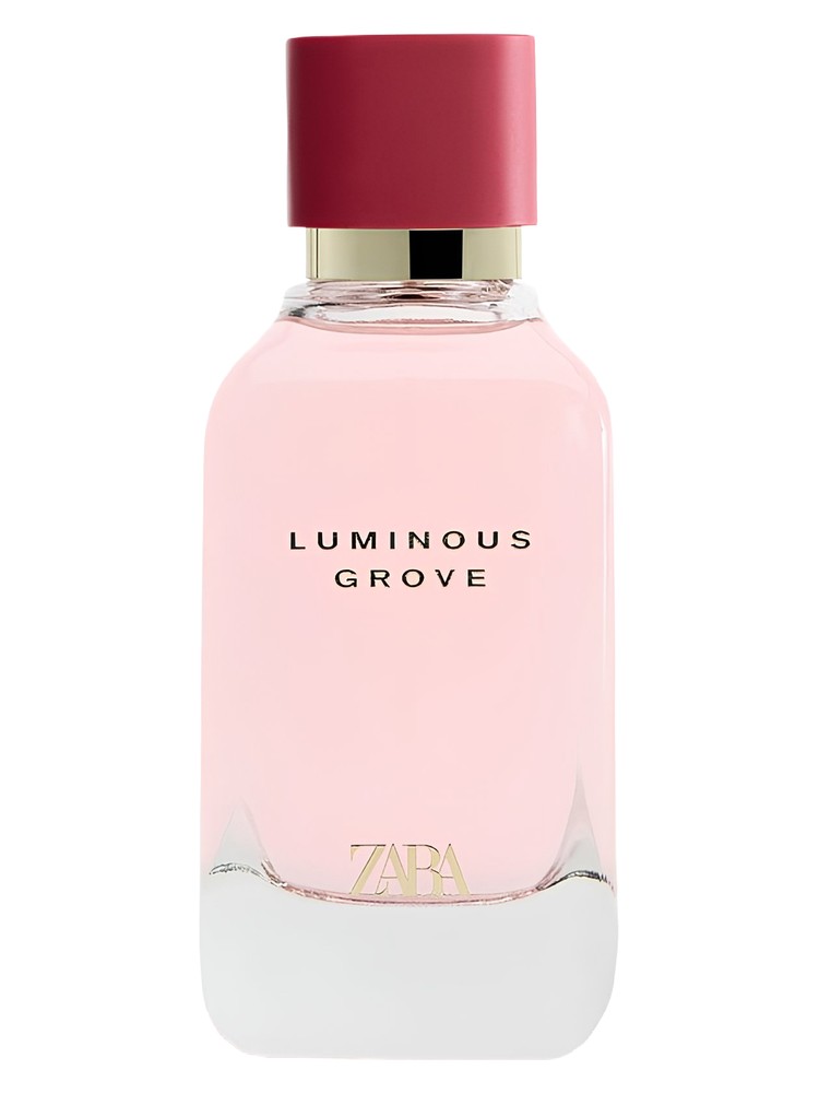 Luminous Grove