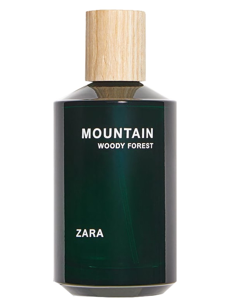 Mountain Woody Forest