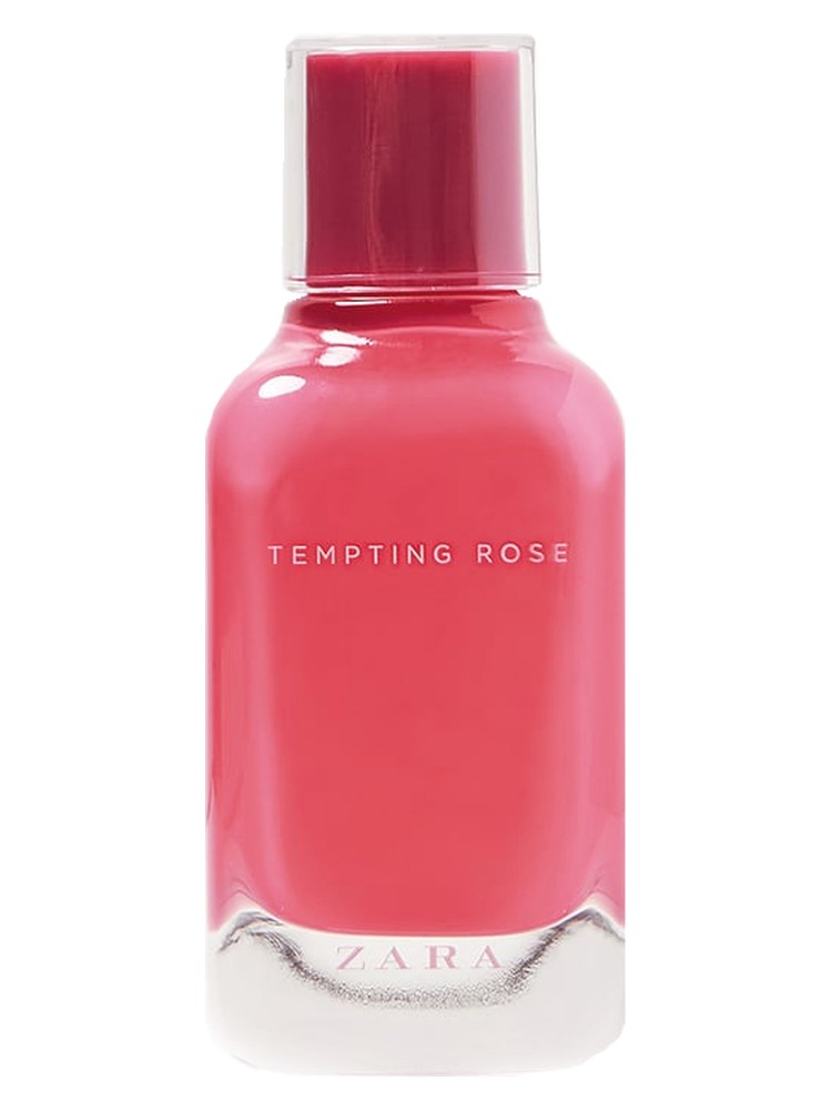 Tempting Rose