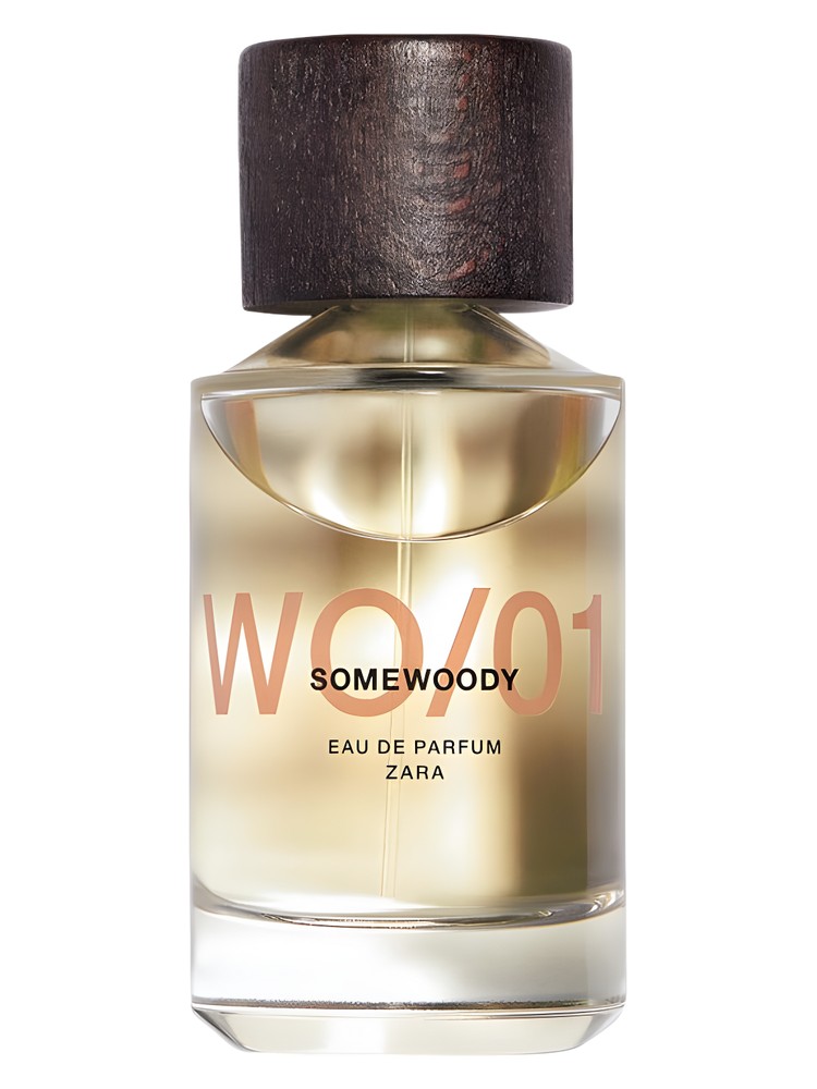 WO/01 Somewoody