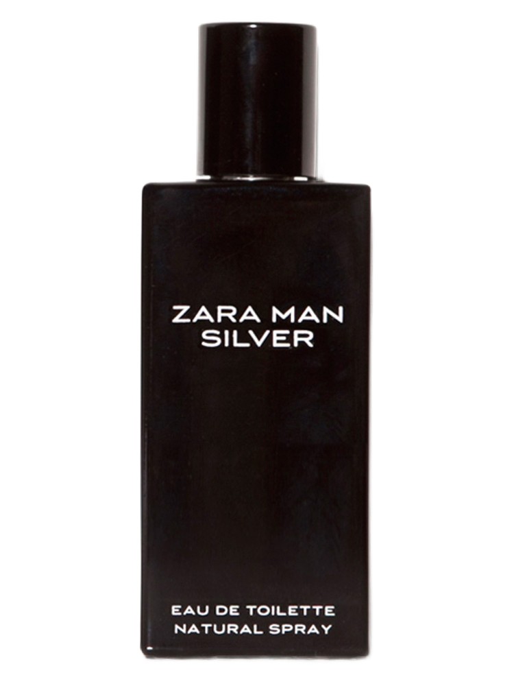 Zara Man Silver