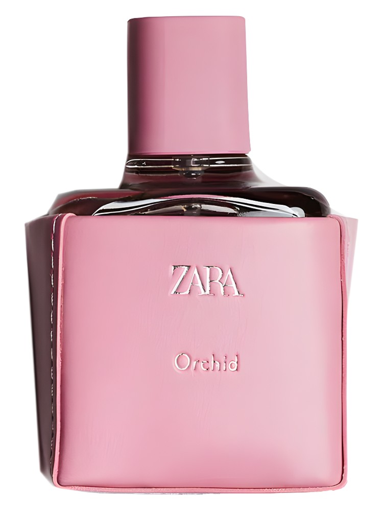 Zara Orchid 2021