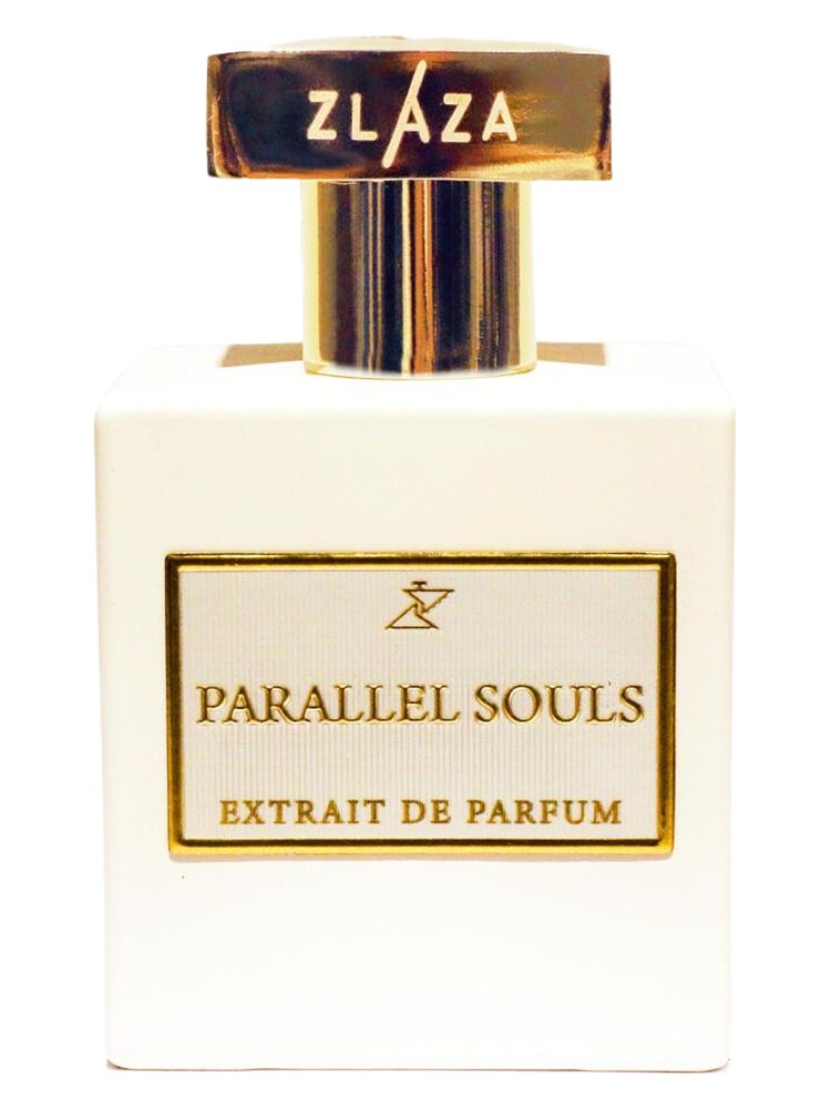 Parallel Souls