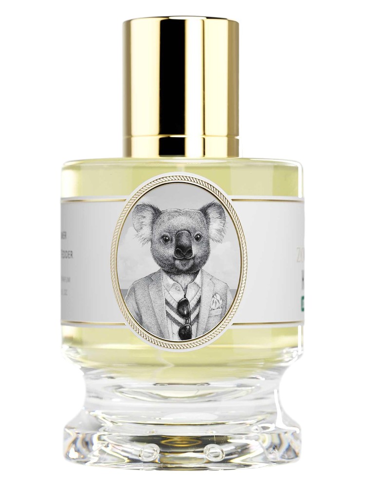 Koala Joey Edition