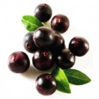 Acai