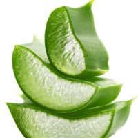 Aloe