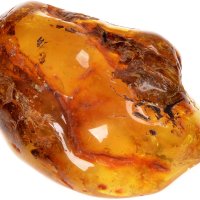 Ambretona