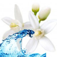Apă de flori de portocal