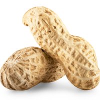 Arahidă
