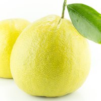 Bergamotă