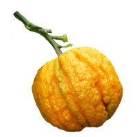 Bigaradă