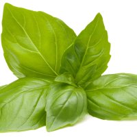 Busuioc