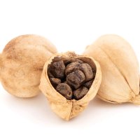 Cardamom de Siam
