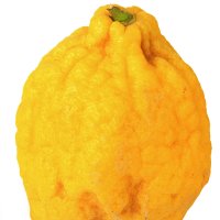 Cidru