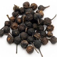Cubeb sau Piper cu coadă