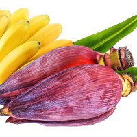Floare de banan