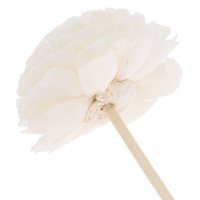 Floare de Litchi