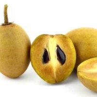 Fruct de Sapodilla