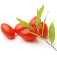 Fructe de goji