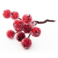 Fructe de pădure înghețate