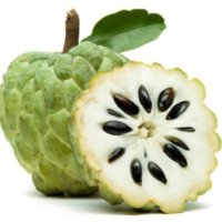 Fructul contelui