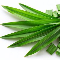 Frunză de pandan