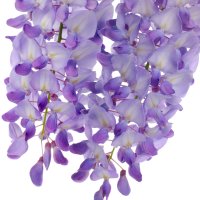 Glicină